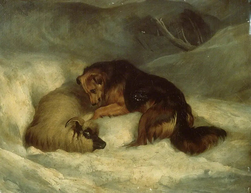 Highland hyrdehund i sneen (tidligere kendt som « Hyrdehund, der redder en vædder fra en snedrive ») - Edwin Henry Landseer