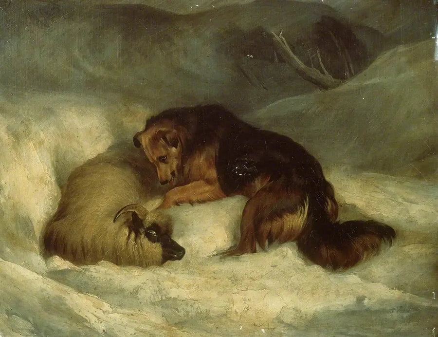 Highland hyrdehund i sneen (tidligere kendt som « Hyrdehund, der redder en vædder fra en snedrive ») - Edwin Henry Landseer