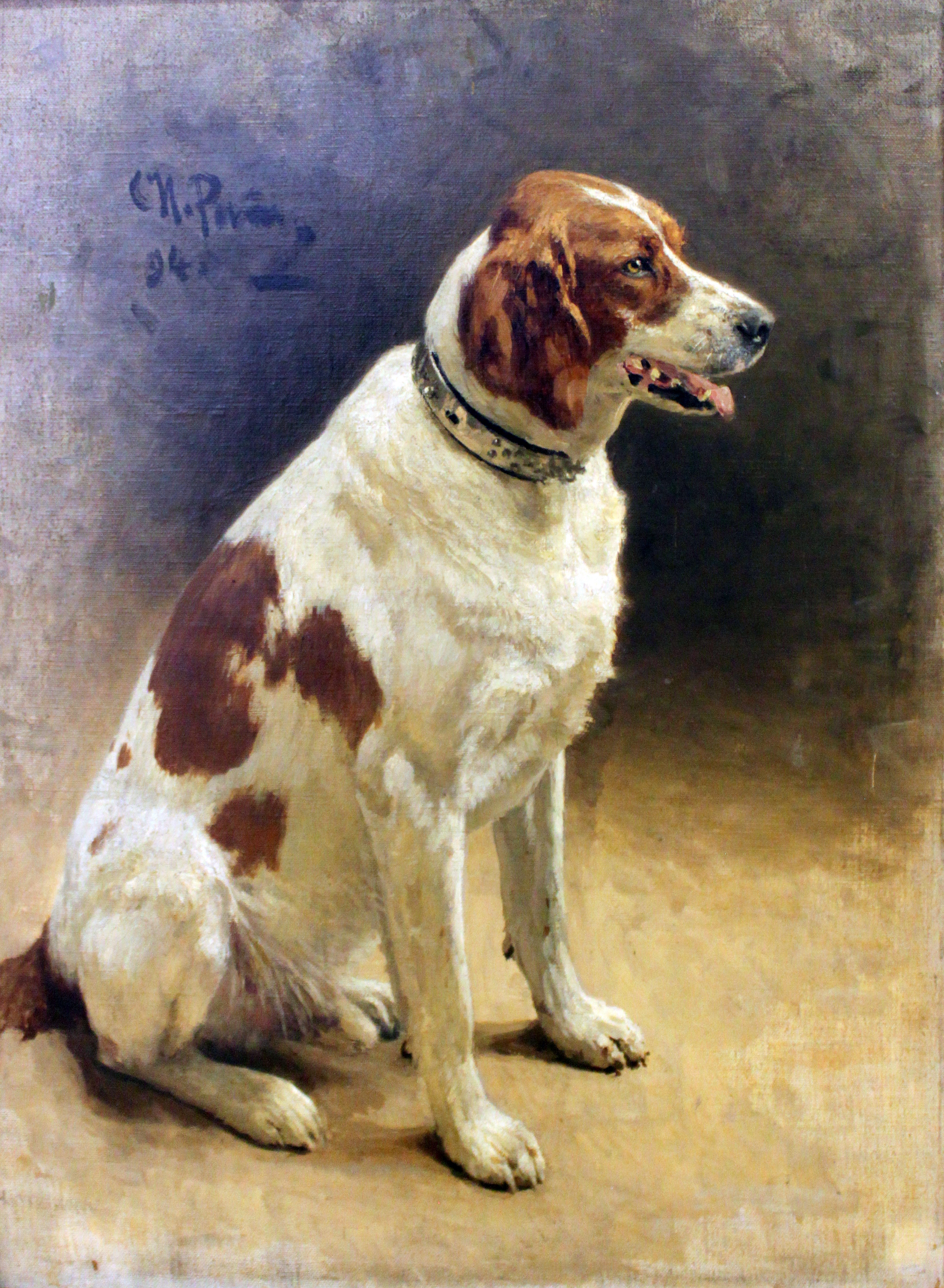 Hund (studie) - Ilya Repin