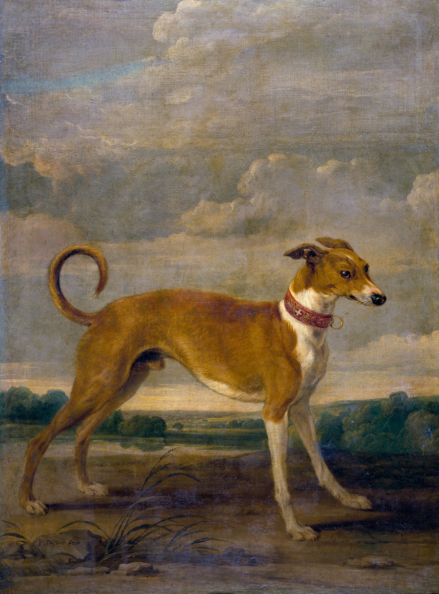 Un chien - Paul de Vos