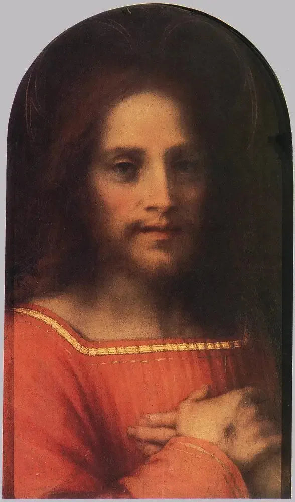 Kristus Frelseren - Andrea del Sarto