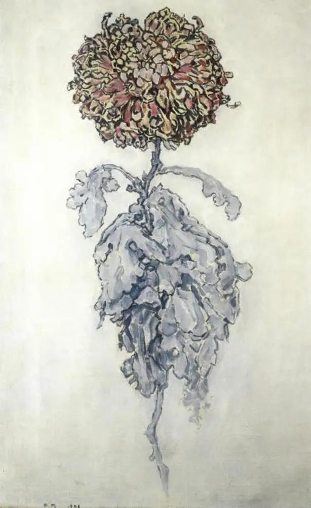 Krysantemum - Piet Mondrian