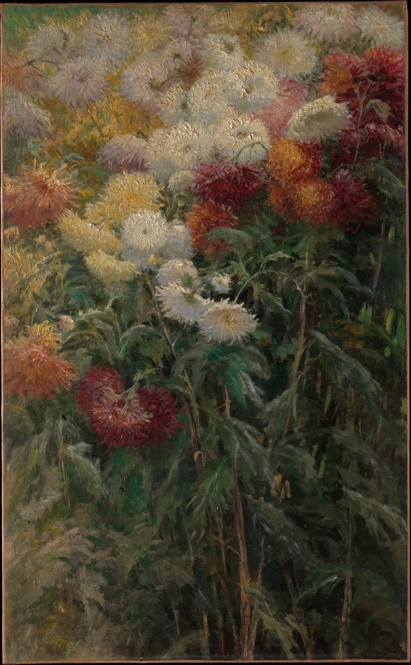 Krysantemum i haven ved Petit Gennevilliers - Gustave Caillebotte
