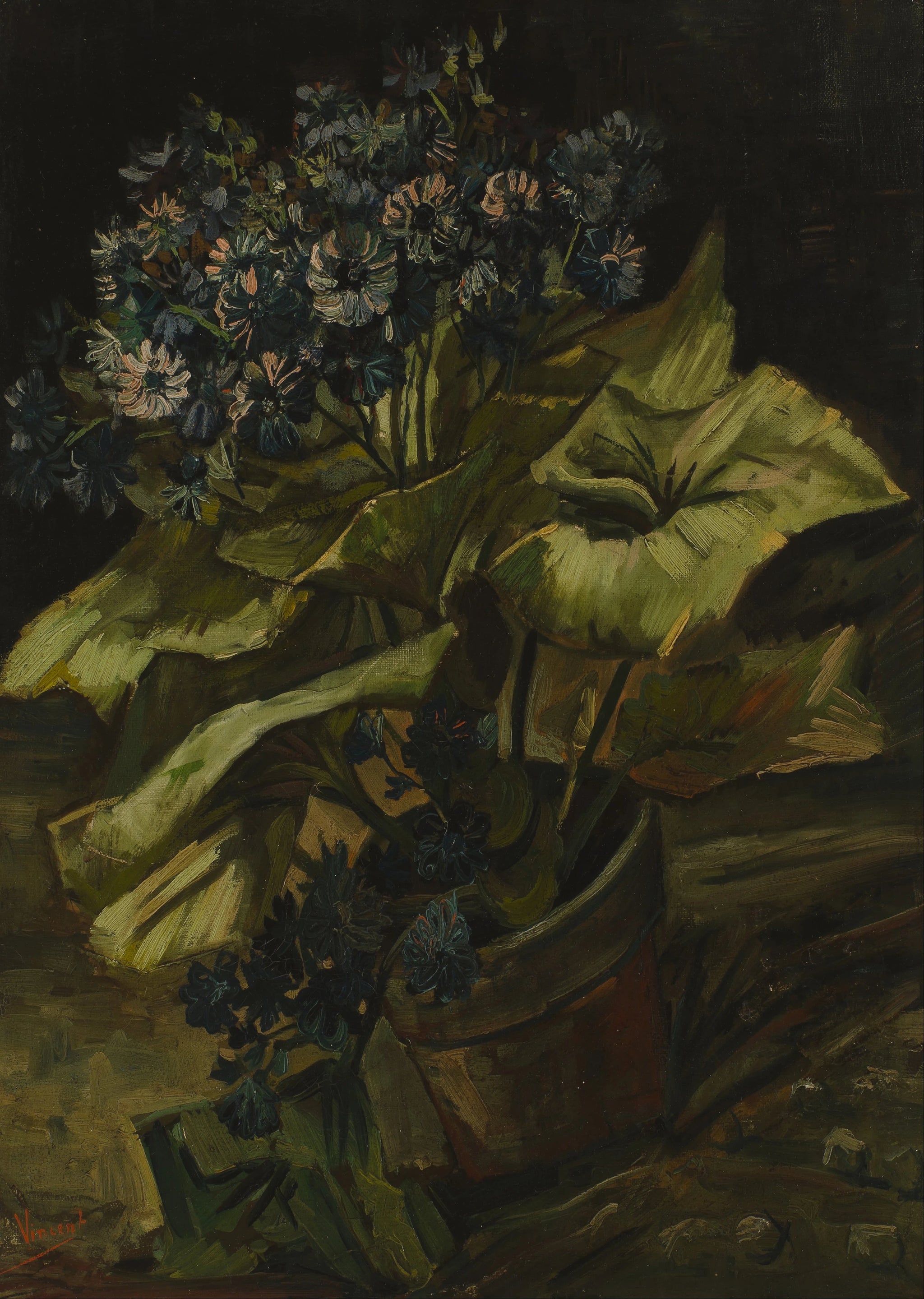 Cinéraires dans un pot F282 JH1165 — Vincent van Gogh