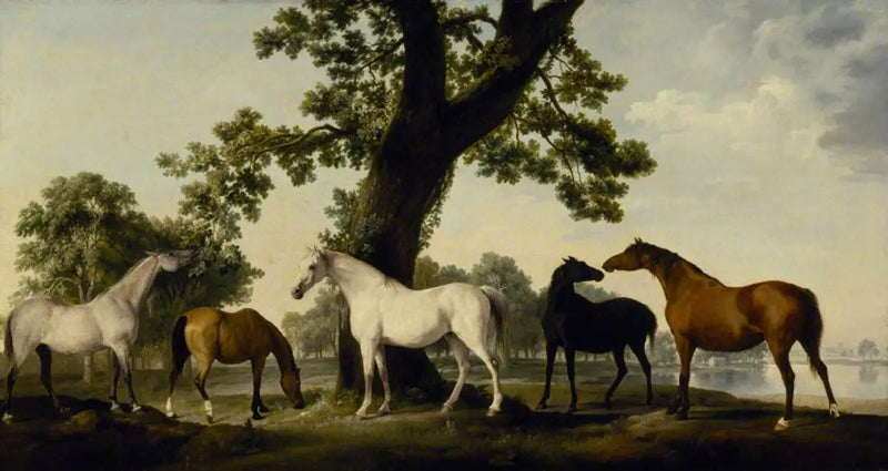 Fem hopper på duc de Cumberland's avlsbrug i Windsor Store Park - George Stubbs
