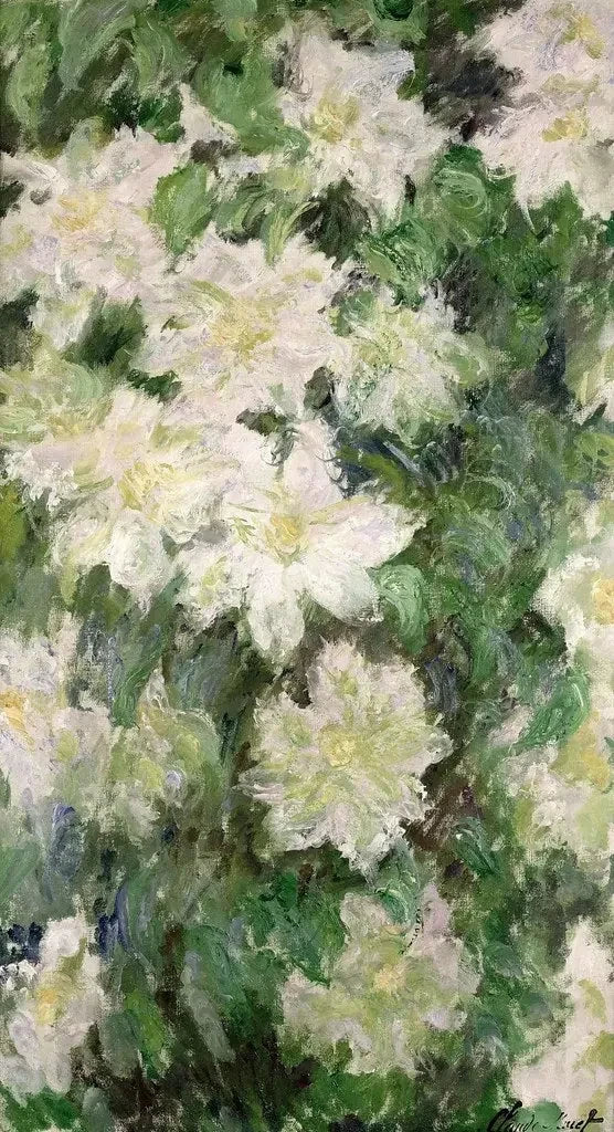 Hvid clematis W1144 - Claude Monet