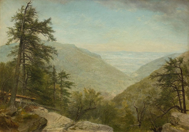 Kaaterskill nellike - Asher Brown Durand