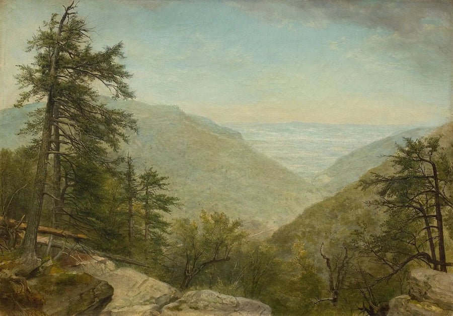 Kaaterskill nellike - Asher Brown Durand
