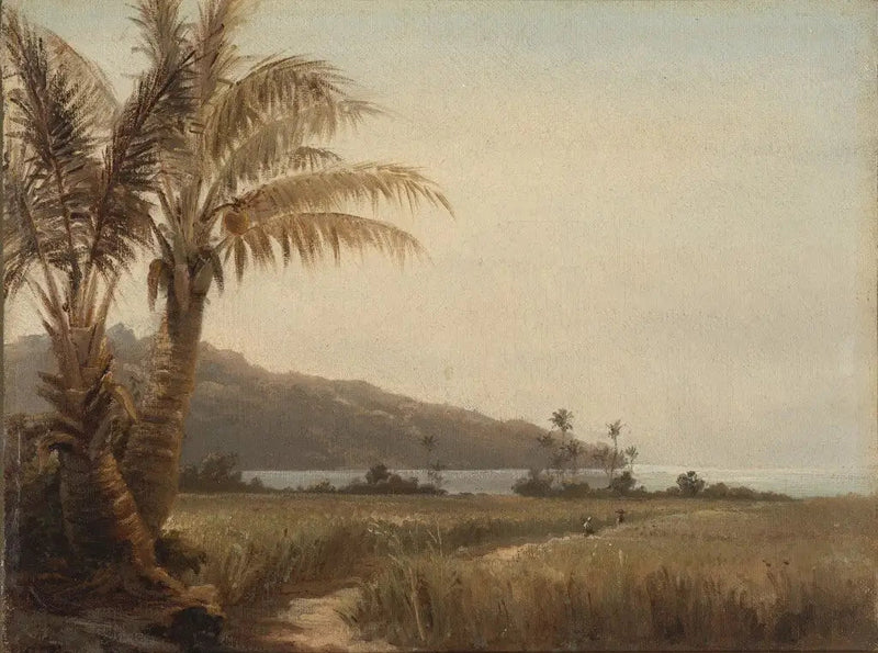 Kokospalmer ved havet - Camille Pissarro