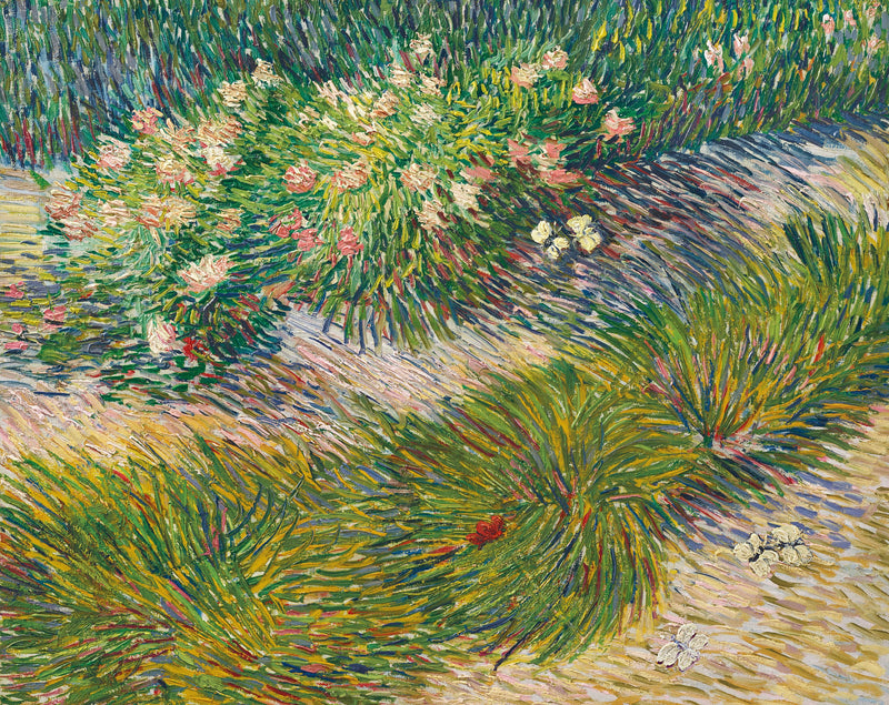 Hjørne af have med sommerfugle - Vincent van Gogh