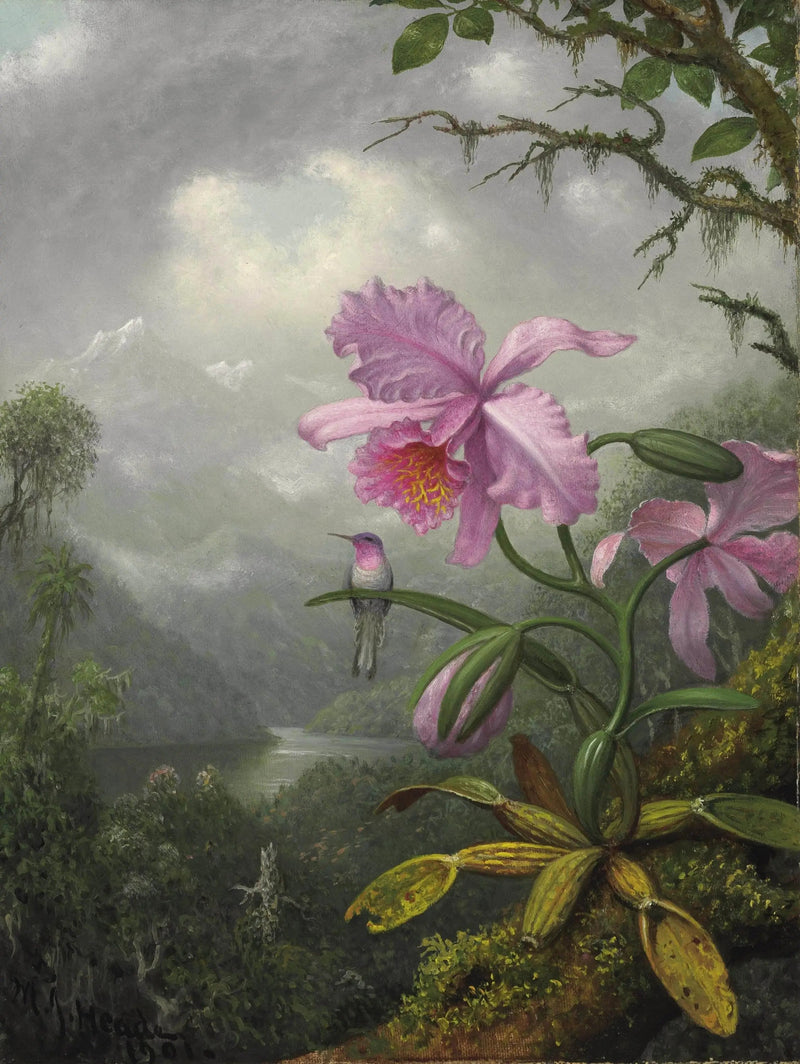 Colibri sidder på orkidéplanten - Martin Johnson Heade
