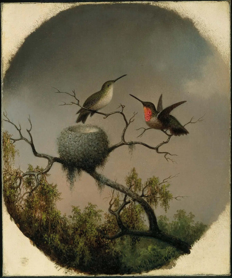 Kolibrier med rede - Martin Johnson Heade