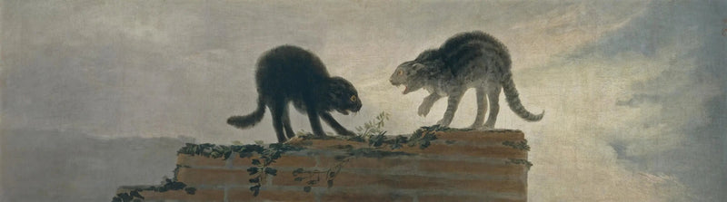 Kattekamp - Francisco de Goya
