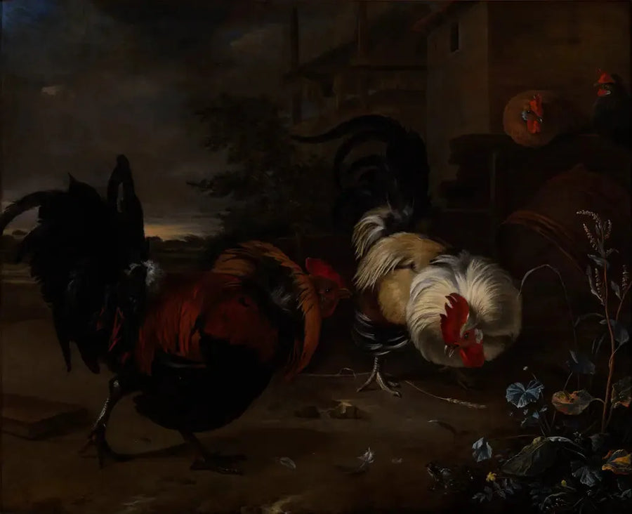 Kamphandling mellem haner - Melchior de Hondecoeter