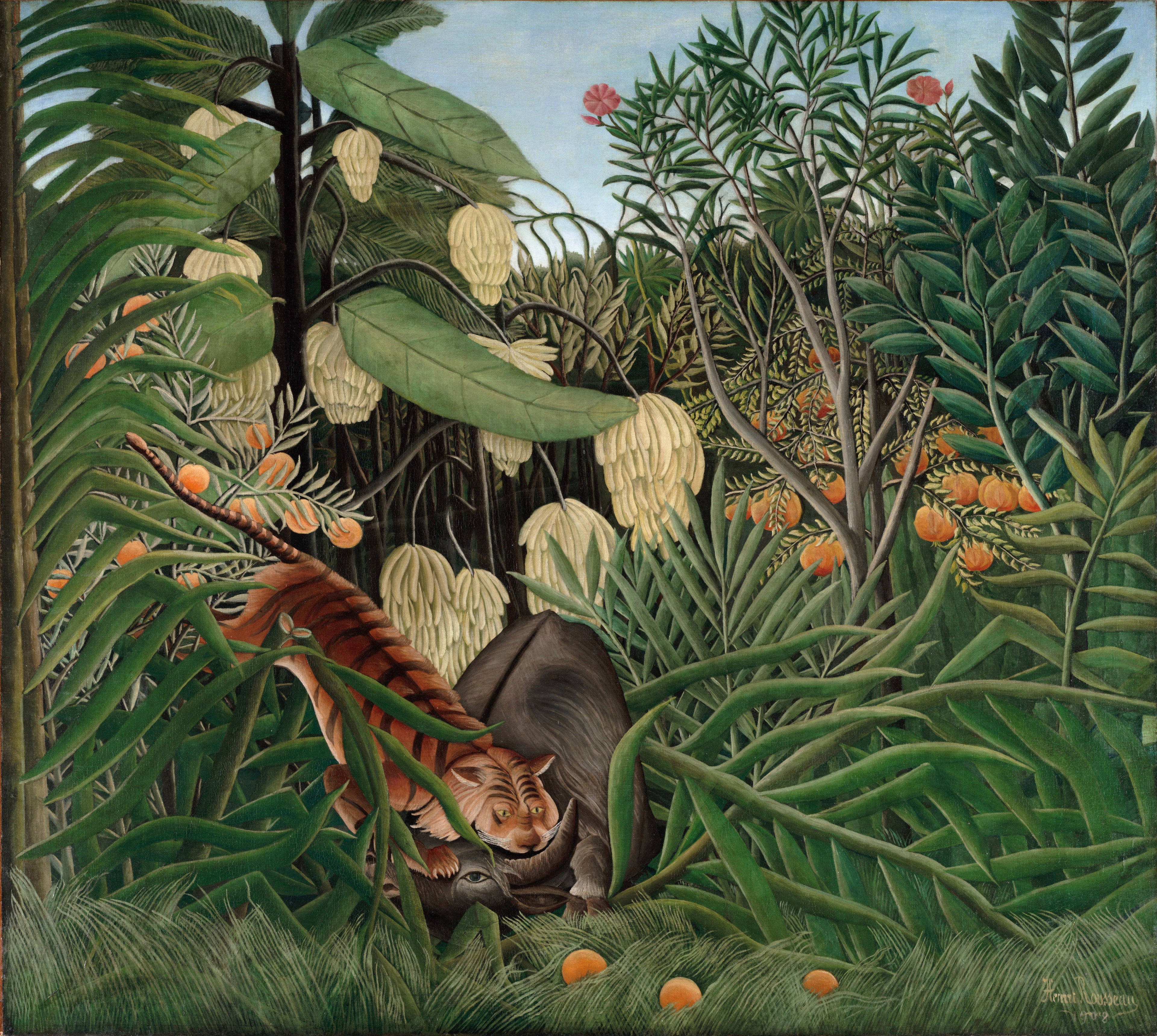 Tigskæmpen og bøffel - Henri Rousseau