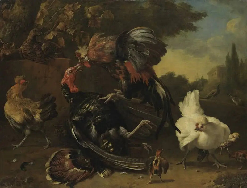 Kamp mellem en hane og en kalkun - Melchior de Hondecoeter