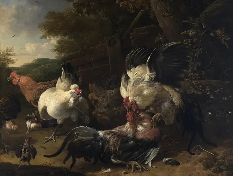 Kampheste - Melchior de Hondecoeter