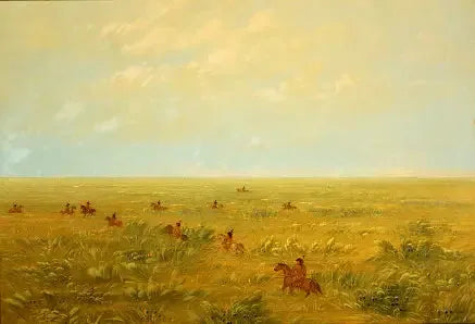 Køre i pampasen for vildt kvæg - Connibo - George Catlin