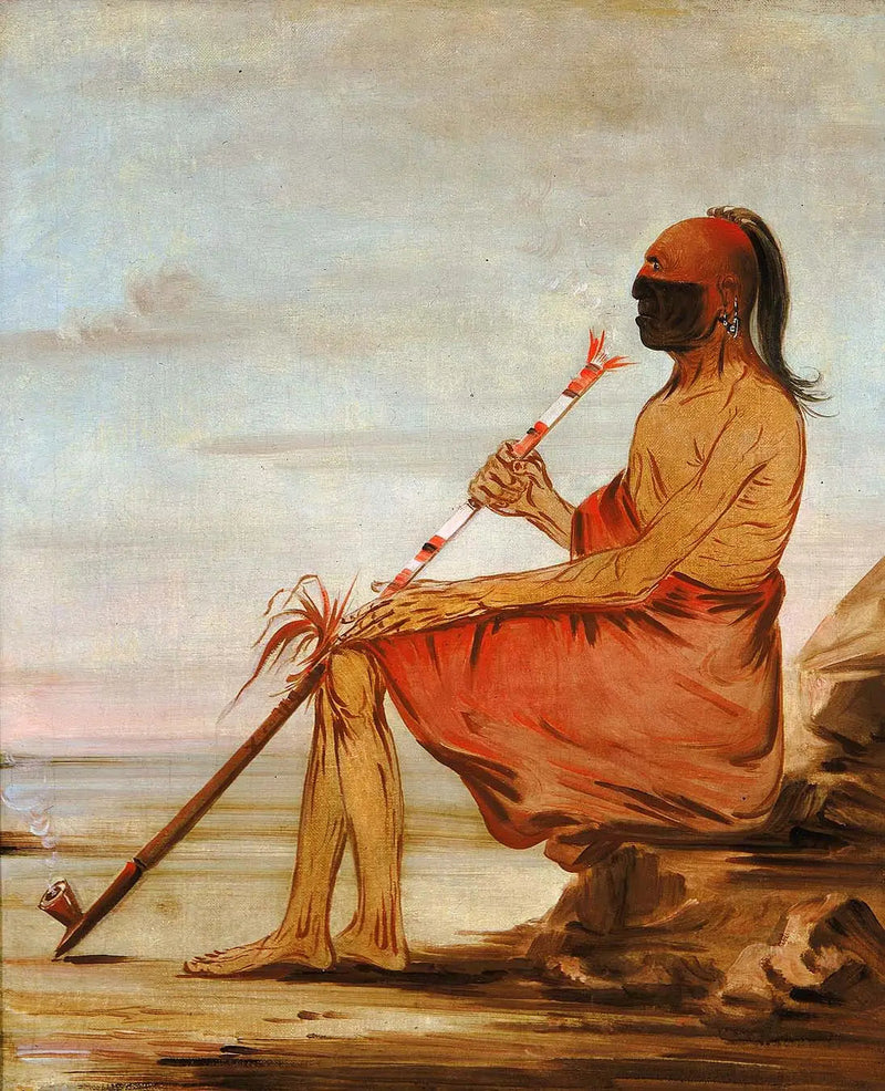 Coo-coo-coo, uglen, en gammel leder - George Catlin