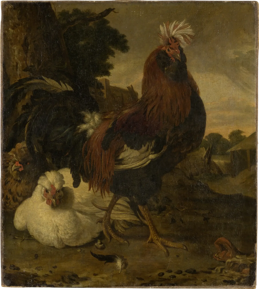 Høne i en gård - Melchior de Hondecoeter