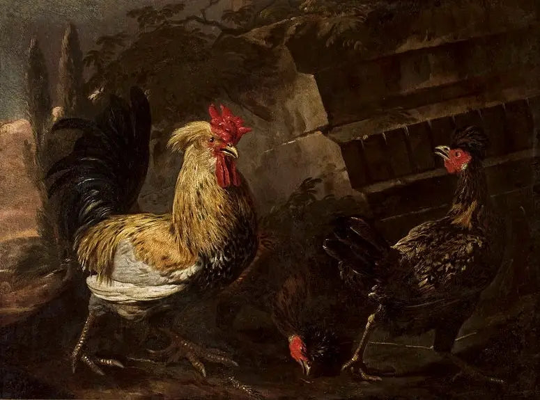 Høne og høner. - Melchior de Hondecoeter