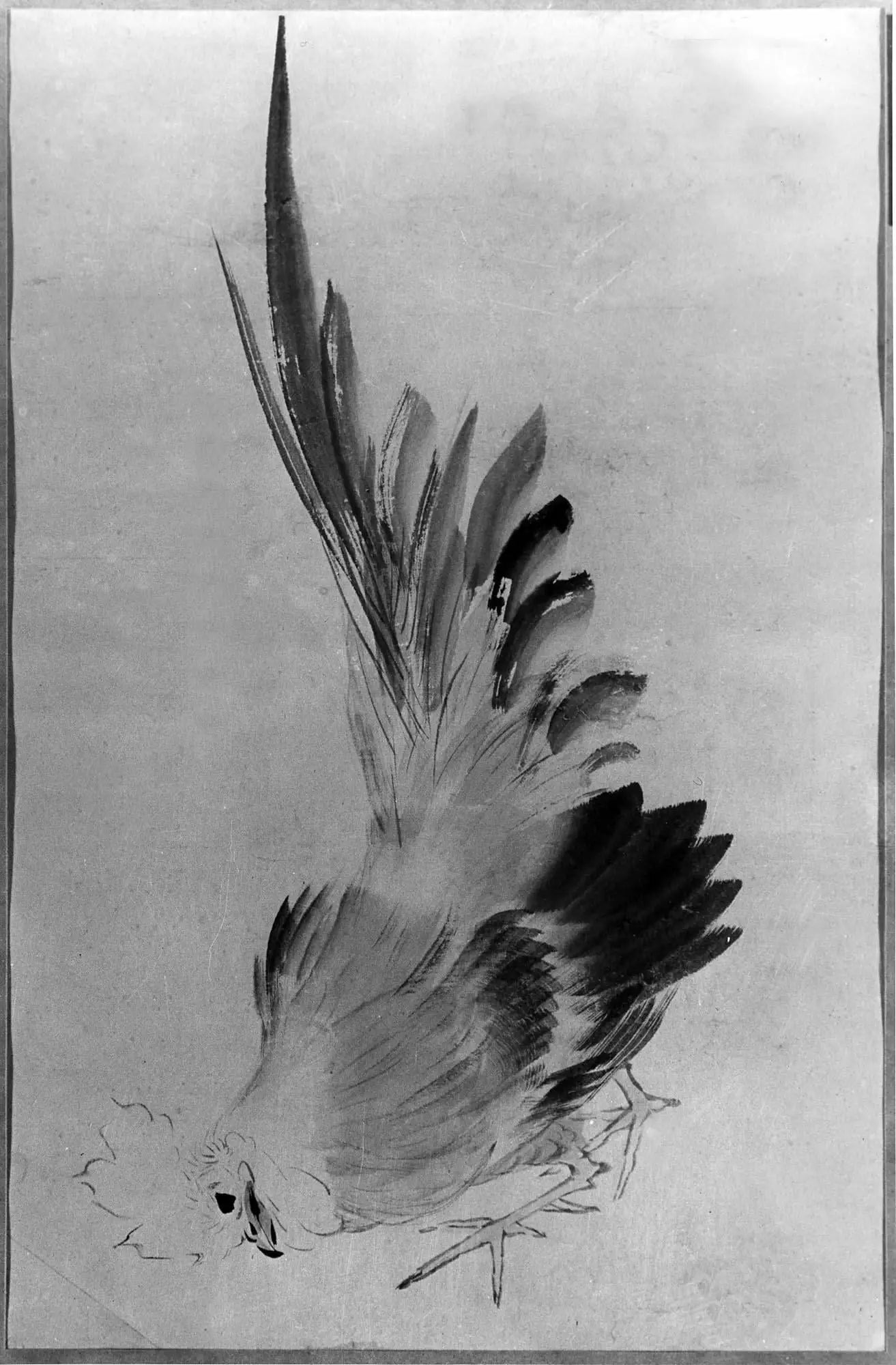 Coq - Hokusai - Alpha Reproduction