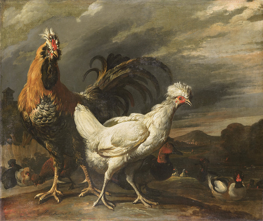 Un coq, une poule et autres volailles - Pieter Jansz. van Ruyven