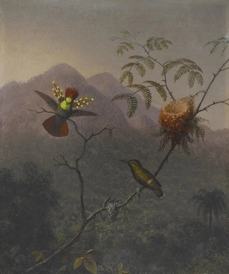 Floket, fyldt - Martin Johnson Heade