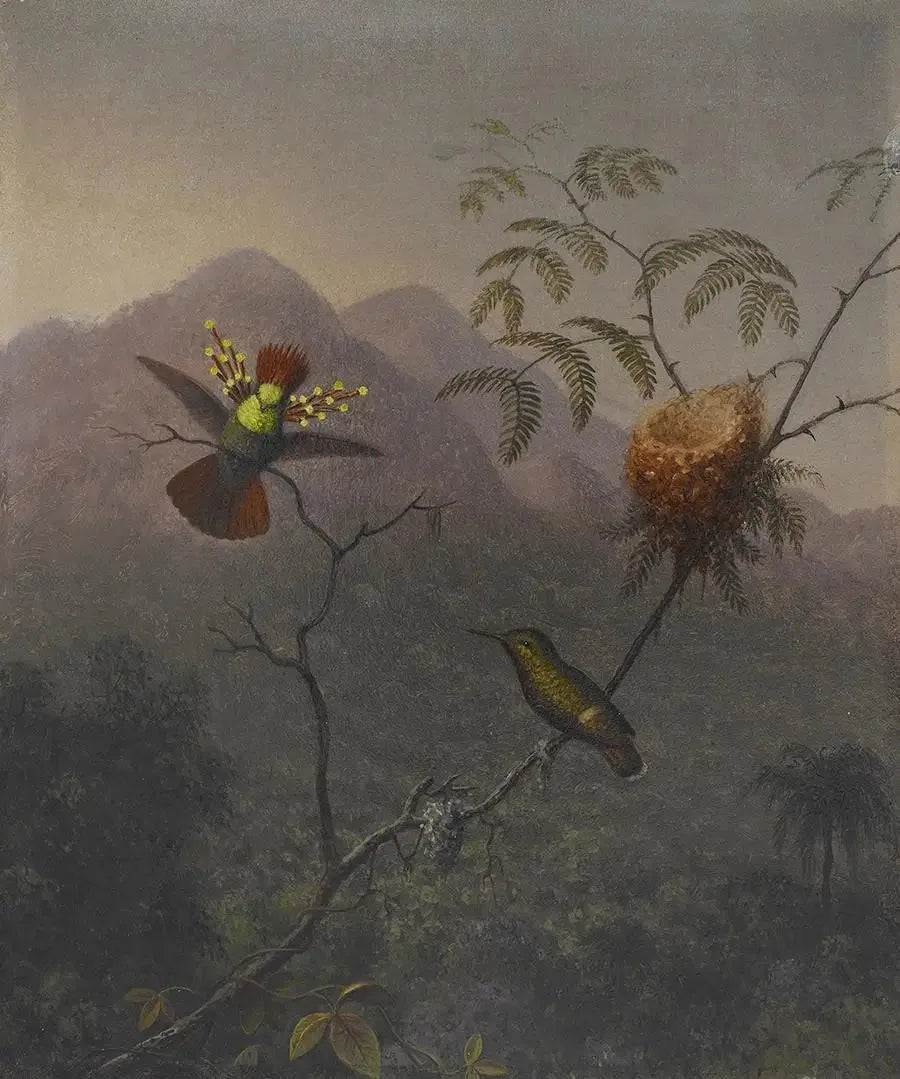 Floket, fyldt - Martin Johnson Heade