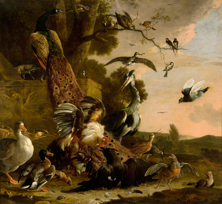 Corbeau dépouillé des plumes qu'il portait pour se parer - Melchior de Hondecoeter