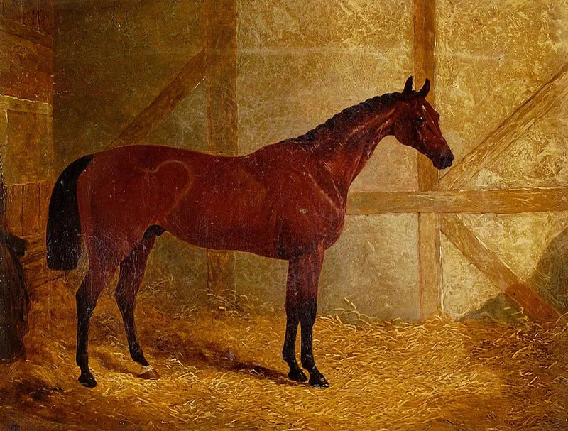 Cotherstone, vinder af Derby - John Frederick Herring, Sr.
