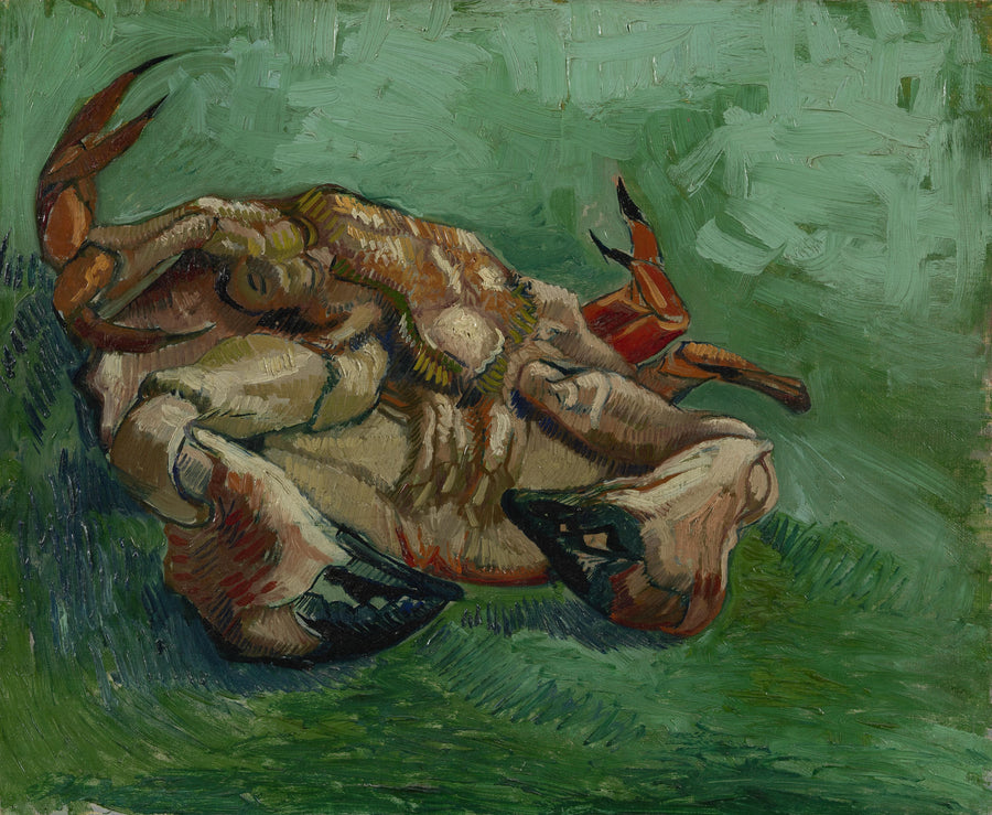 Krabbe, liggende på ryggen - Vincent van Gogh