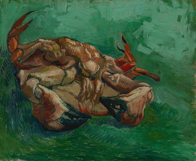 Krabbe, liggende på ryggen - Vincent van Gogh