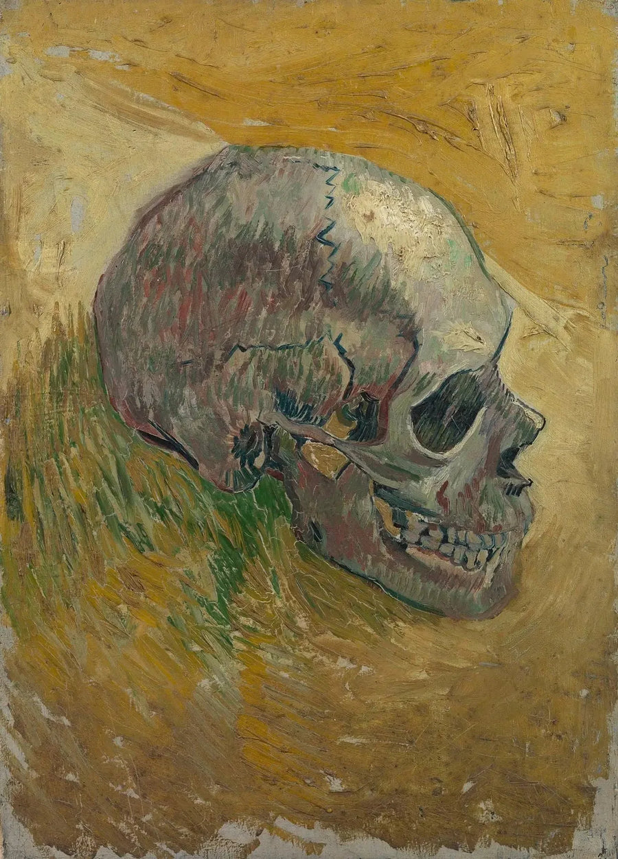 Skeletkranium - Vincent van Gogh