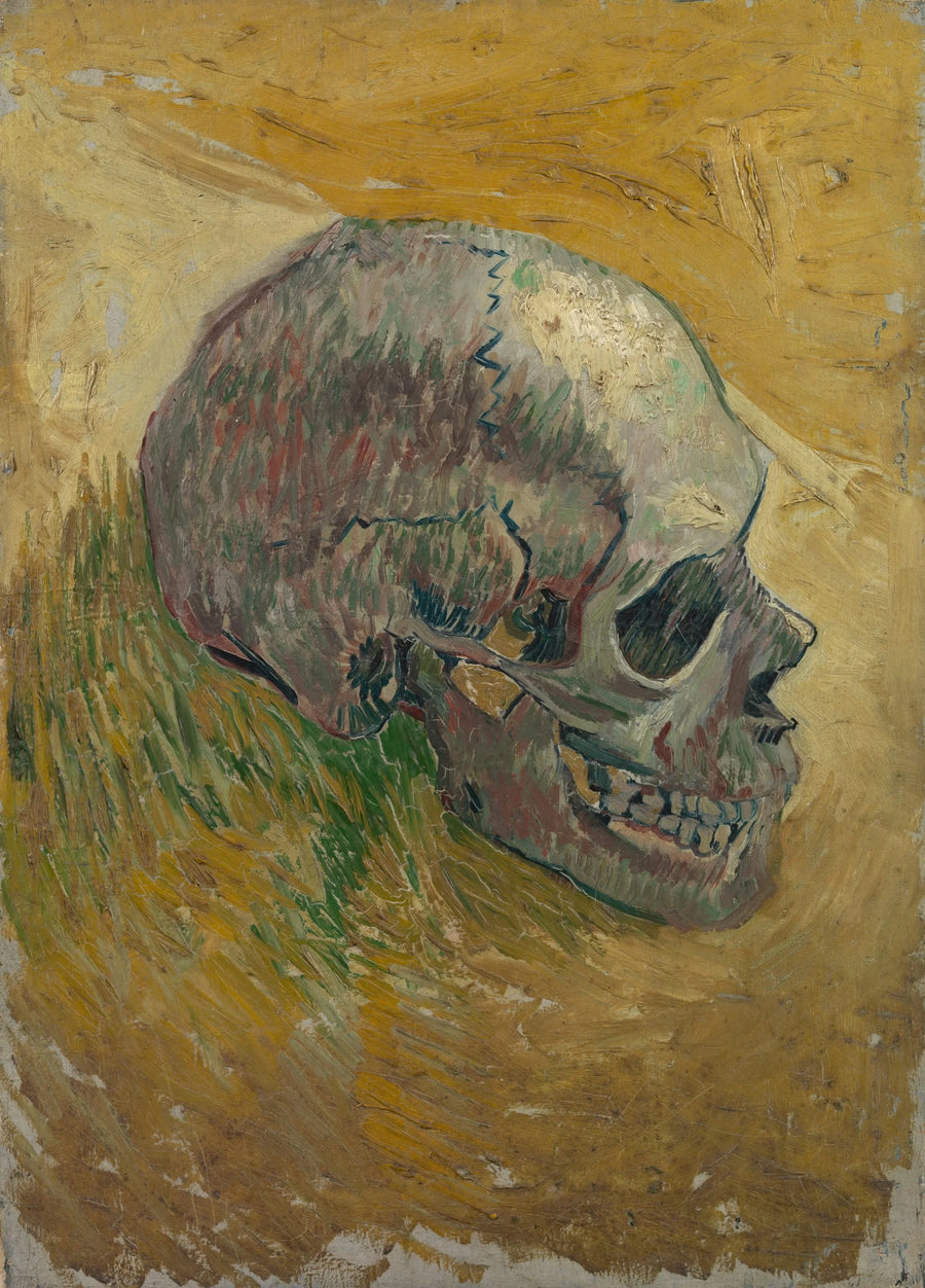 Skeletkranium - Vincent van Gogh