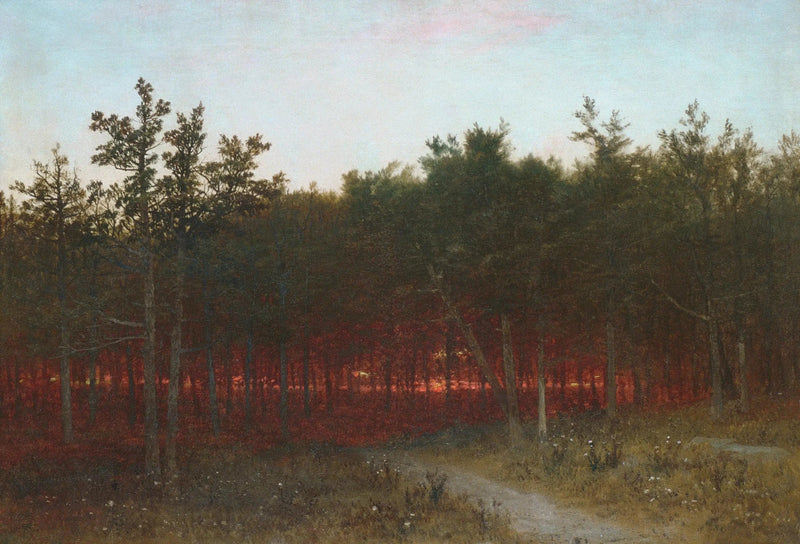 Skumring i cedertræerne i Darien, Connecticut - John Frederick Kensett