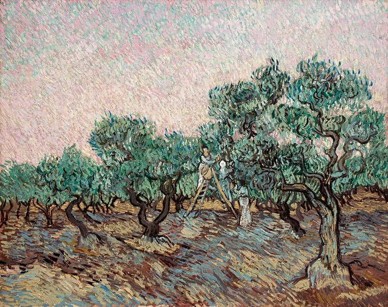 Olivenhøst - Vincent van Gogh