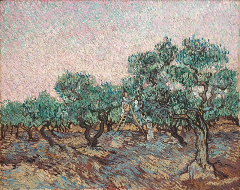 Olivenhøsten - Vincent van Gogh