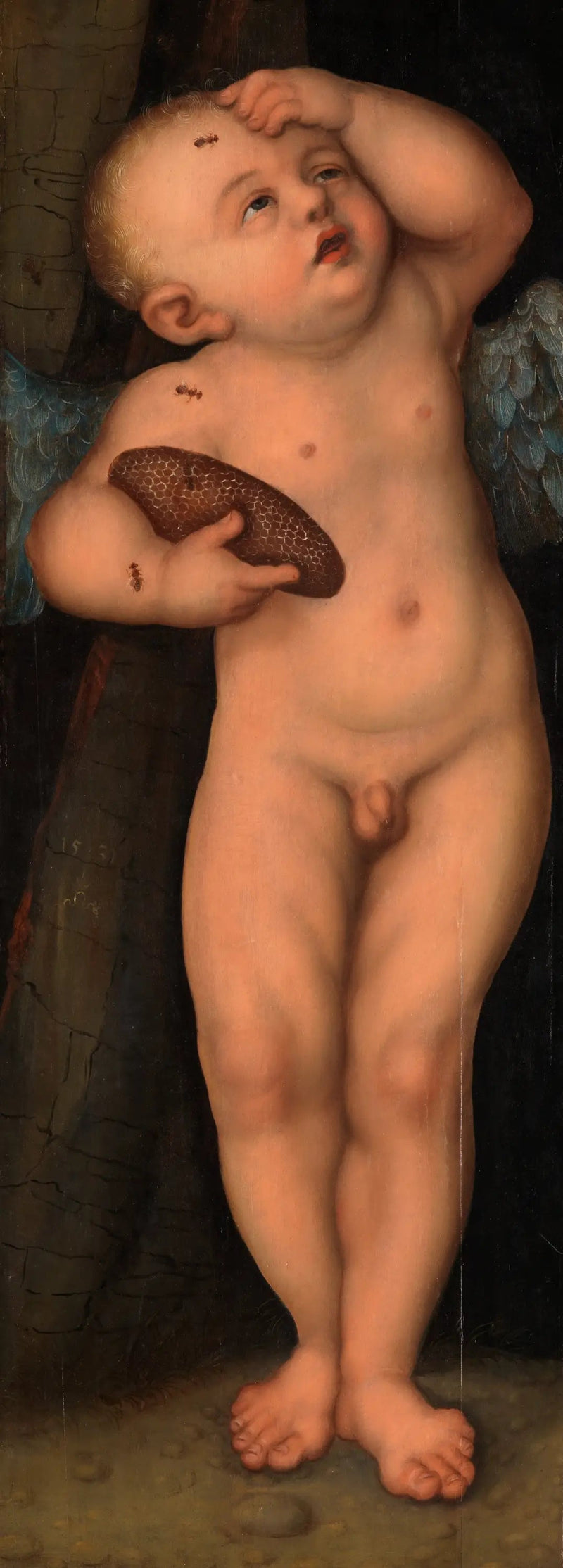 Cupidon som honningtyv - Lucas Cranach den Ældre