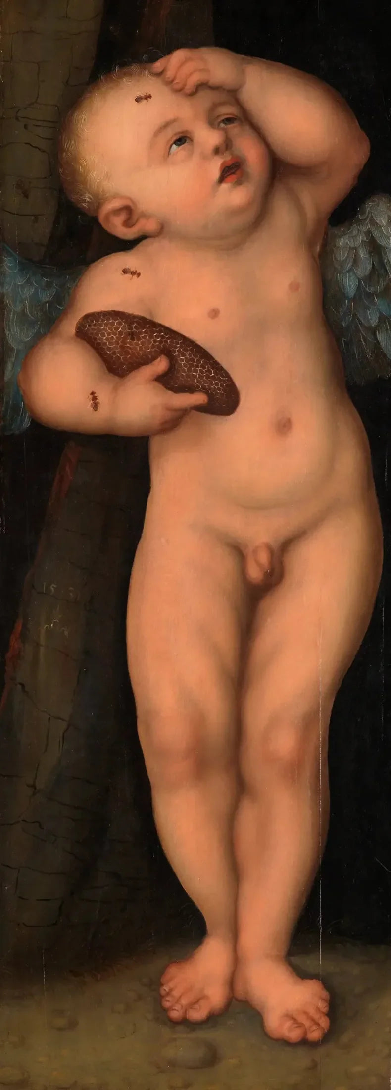 Cupidon som honningtyv - Lucas Cranach den Ældre