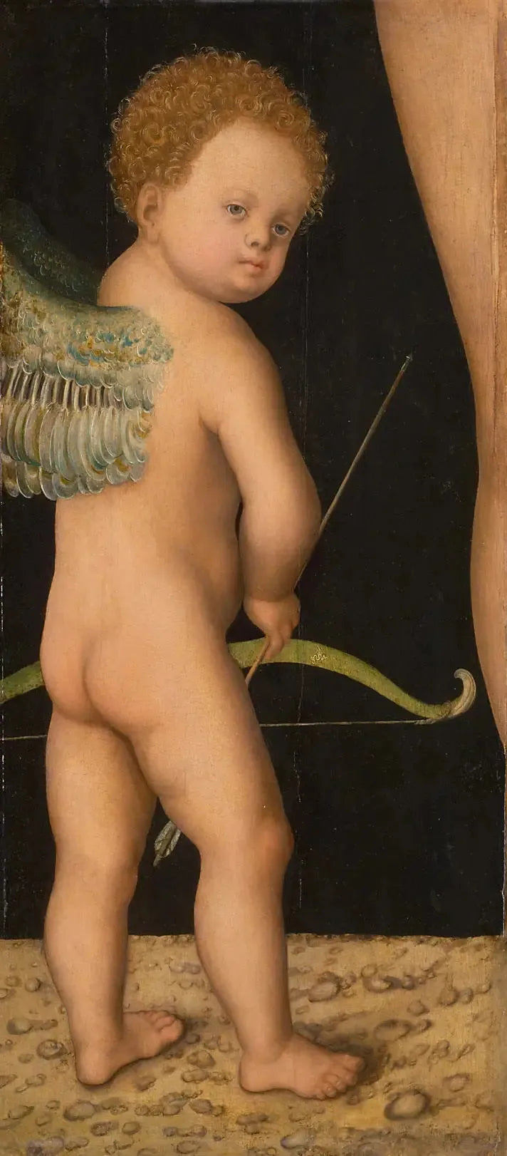 Cupidon - Lucas Cranach den Ældre