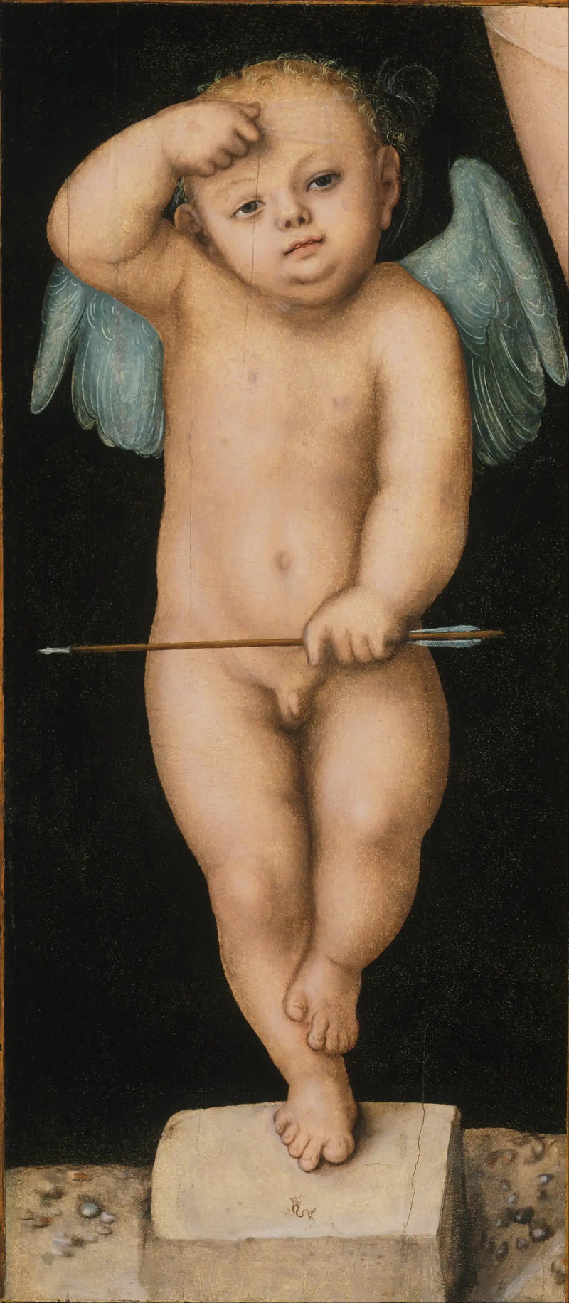 Cupidon - Lucas Cranach den Ældre
