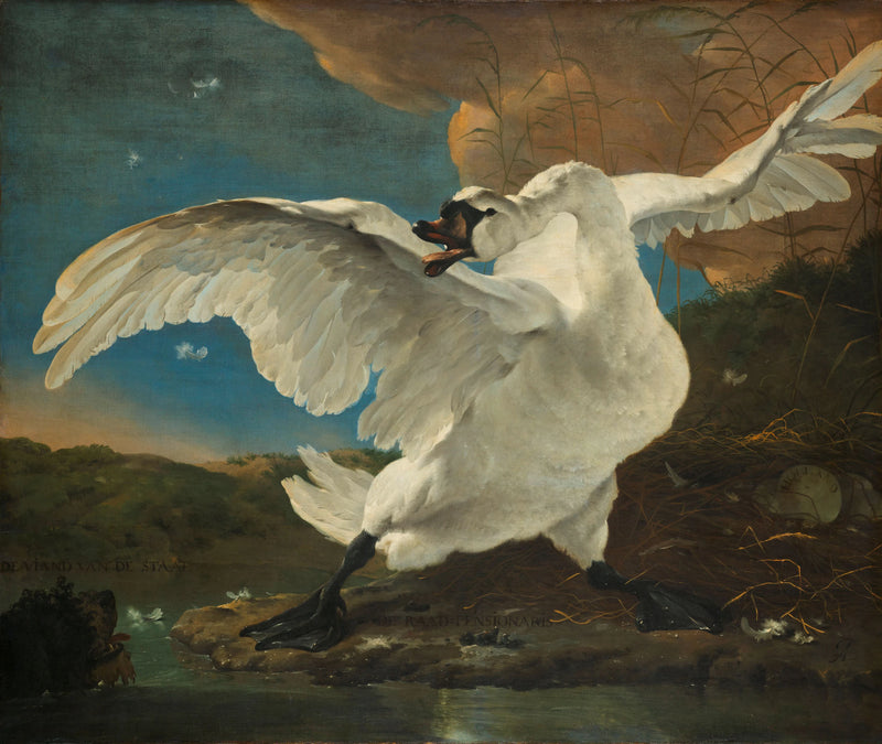 Le cygne en voie de disparition - Jan Asselyn