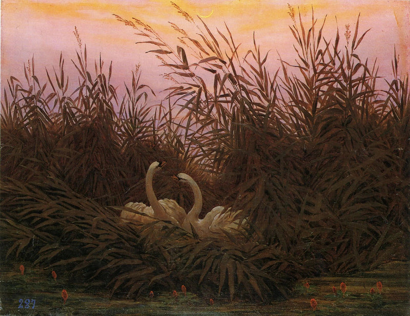 Svaner i sivene ved den første daggry - Caspar David Friedrich