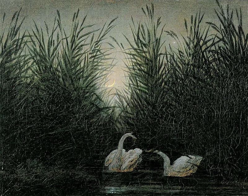 Svaner i sivene ved daggryets første lys - Caspar David Friedrich