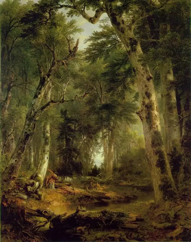 I skovene - Asher Brown Durand