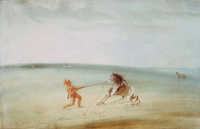 Decomponer le cheval sauvage - George Catlin