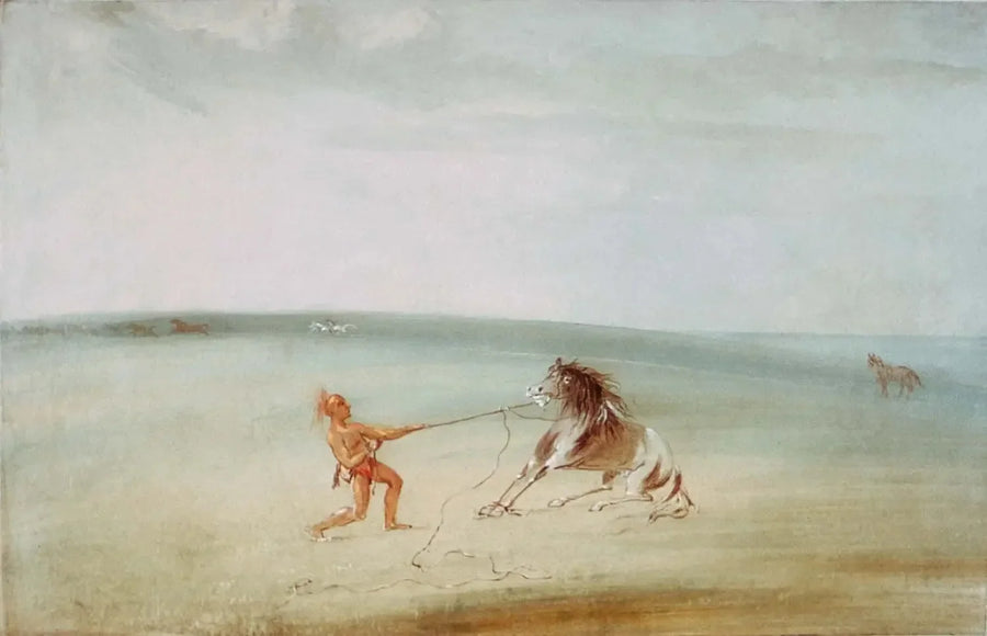 Decomponer le cheval sauvage - George Catlin