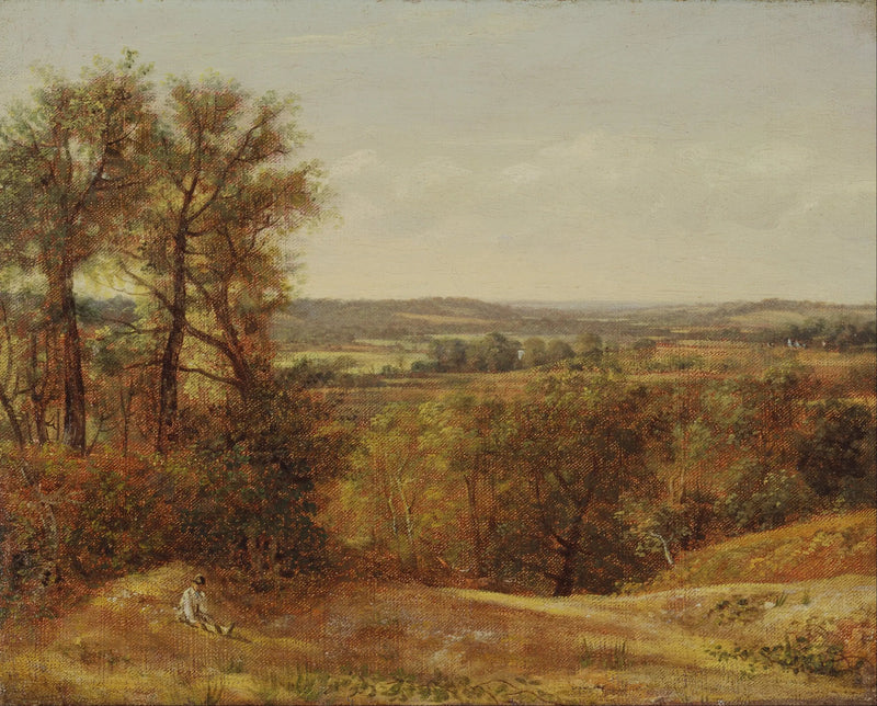 Dedham-dalen - John Constable