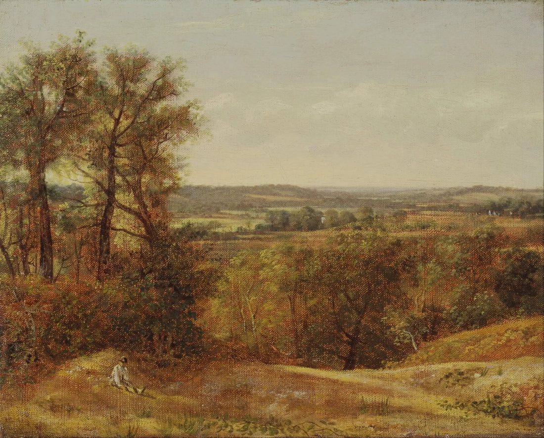 Dedham-dalen - John Constable